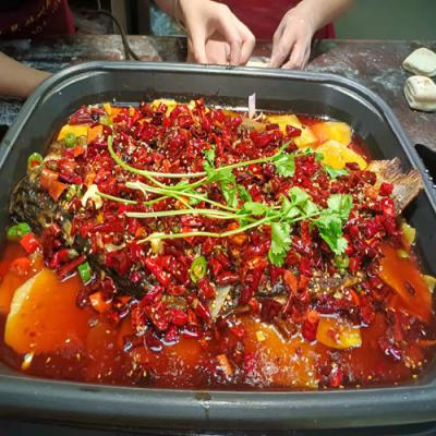 哪里可以學習香辣烤魚技術培訓？