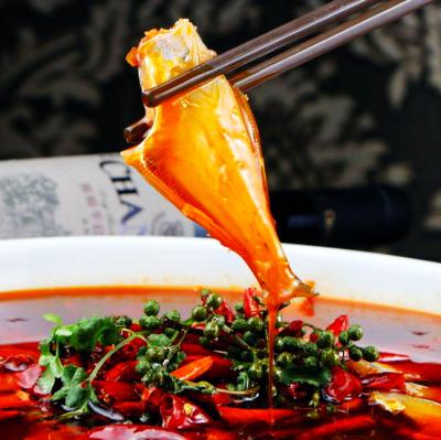 耗兒魚技術(shù)培訓(xùn)在哪里學(xué)？